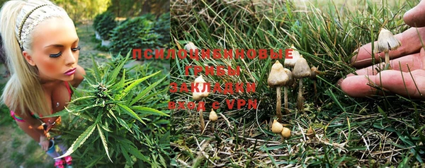 мяу мяу мука Балабаново