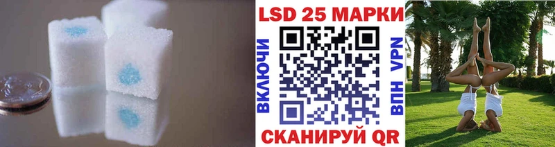 даркнет сайт  Бежецк  omg зеркало  LSD-25 экстази кислота 